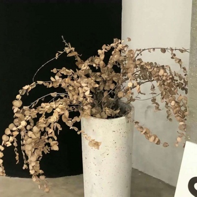 兽设配色搭配思路兽圈群